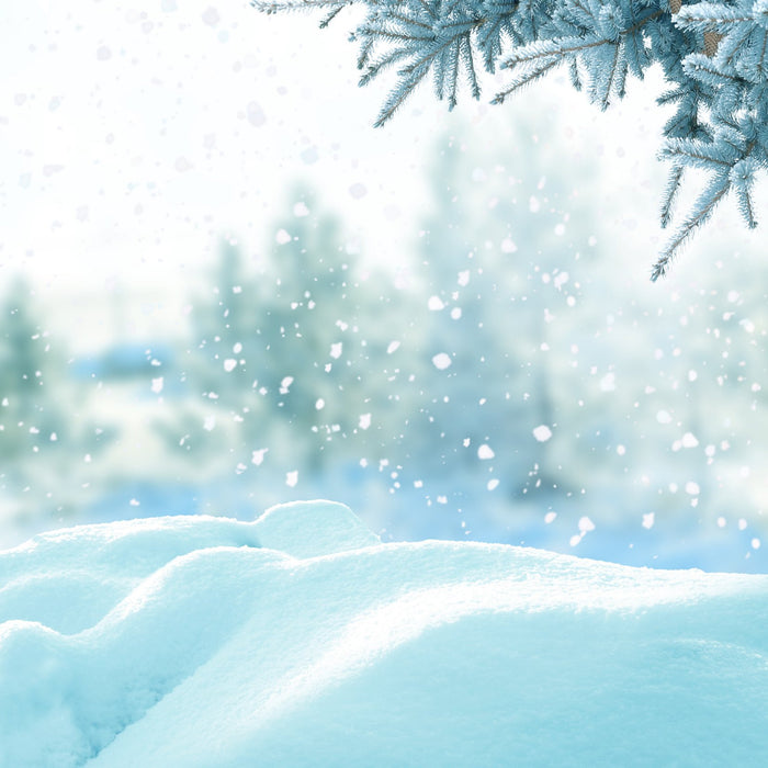Winter Softies